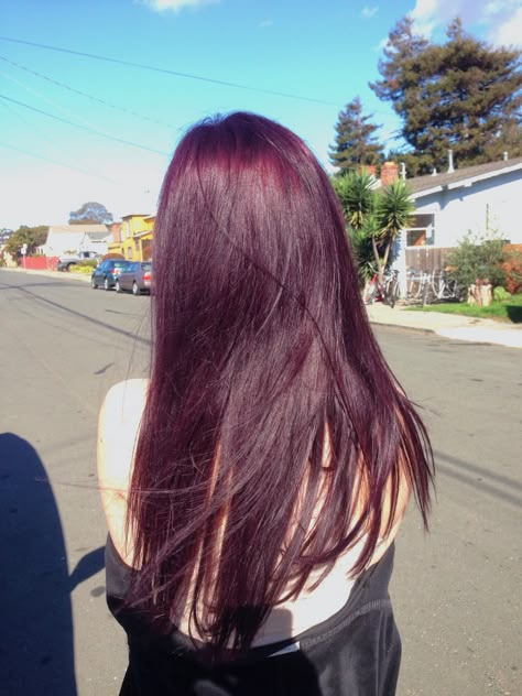 so hard to keep up with but so worth it! Hair Inspo Color Cool Tone, Purple Maroon Hair, Cherry Purple Hair, Purple Tinted Hair, Colors To Dye Hair, Red Violet Hair Color, Purple Ombre Hair, Dark Purple Hair, Dyed Hair Purple