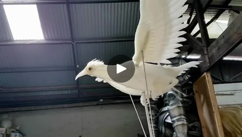 Here is one of the houbara bird puppets in action before we gave her a paint job 🙌  #puppet #birds #houbara #artoftheday #puppetrymelbourne #handsculpted... | By A Blanck CanvasFacebook Moana Jr, Bird Puppet, Stork Bird, Make A Dragon, Hawk Eagle, Puppets Diy, Dragon Puppet, Puppet Theater, Bird Wings