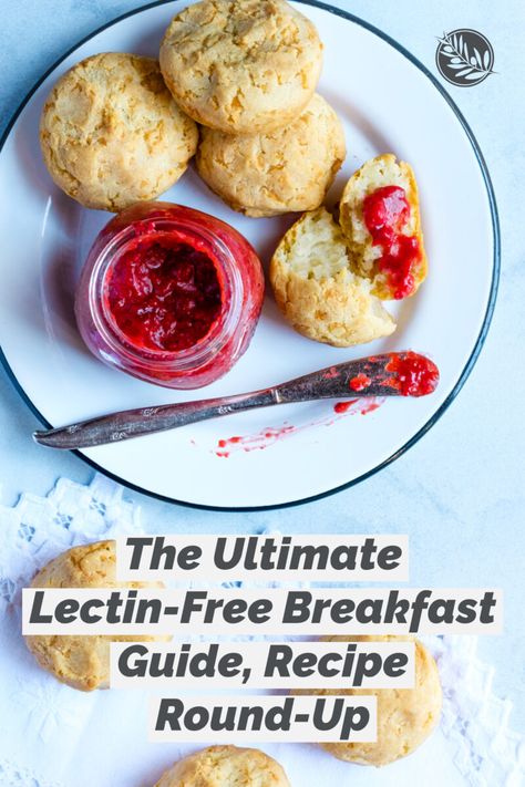 15 lectin-free breakfast recipe and more ideas for starting the day with a healthy meal. Lectin Free Breakfast, Low Lectin Foods, Lectin Foods, Plant Paradox Food List, Dr Gundry Recipes, Gundry Diet, Gundry Recipes, Lectin Free Foods, Plant Paradox Recipes