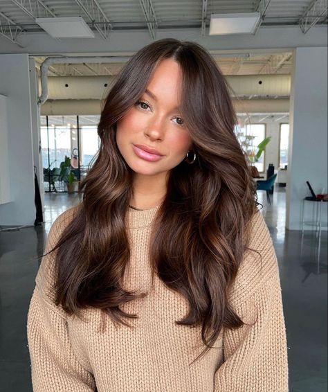 Medium Brown Hair All Over Color, Soft Brown Balayage Subtle Highlights, Rick Brown Hair Color, Light Brown Layered Hair Medium, Darker Brown Balayage, Fall Hair For Dark Brown Hair, Fall Hair For Pale Skin Green Eyes, Haircolor Ideas For 2023 Brown, Low Maintenance Brunette Balayage