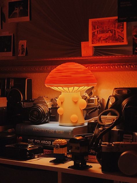 mushroom, lamp, aesthetic, cottagecore, cameras, home, decorations Tiny Protectors, Raining Mushroom Lamp, Fantasy Mushroom Lamps, Mushroom Nightlight, Mushroom Night Lamp, Red Mushroom Table Lamp, Mushroom Lamp, Moving Out, Cozy Corner