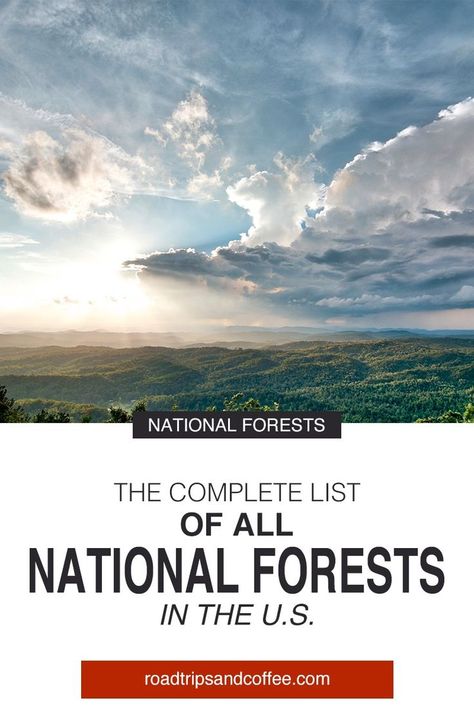 Ocala National Forest Things To Do, One Day In Redwood National Park, Best Time To Visit National Parks, Us National Forests, Forest Map, Petrified Forest National Park, National Park Road Trip, Forest Service, Scenic Byway