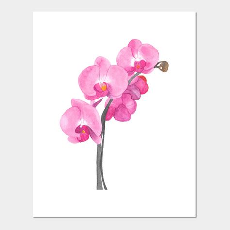 watercolor orchid - Google Search Orchid Watercolor Painting, Drawing To Color, Orchid Watercolor, Watercolor Orchid, Orchid Painting, Watercolor Painting Easy, Orchid Wall, Orchids Painting, Painting Easy