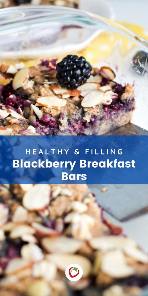 Blackberry Breakfast Recipes, Balanced Breakfast Ideas, Blackberry Breakfast, Breakfast For Toddlers, Healthy Breakfast Bars, Bean Breakfast, Blackberry Dessert, Best Healthy Breakfast, Breakfast Bars Recipe