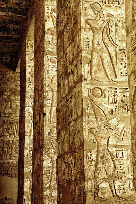 Nile Aesthetic, History Egypt, Egyptian Aesthetic, Egypt Museum, Egypt Aesthetic, Egyptian Temple, Sunday Special, Ancient Egypt Art, Egyptian Culture