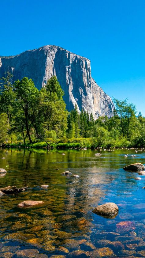 Natural Beauty Yosemite Map, Tuolumne Meadows, Yosemite Park, Glamping Resorts, California Mountains, Free Nature, West Yellowstone, Largest Waterfall, Yosemite Falls