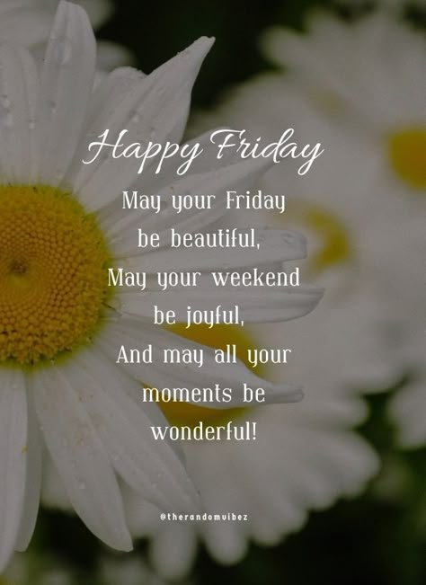 It's Friday Good Morning, Friyayyy Quotes, Friday Vibes Quotes, Good Morning Friday Quotes Inspirational, Notes For Strangers, Fabulous Friday Quotes, Good Morning Sweet Message, Friday Quotes Inspirational, Happy Friday Good Morning