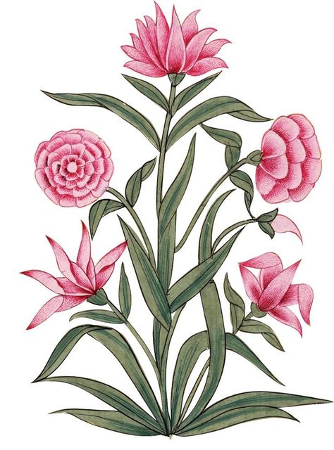 Motif Vector, Mughal Art Paintings, Folk Art Flowers, Pichwai Paintings, Flower Art Images, Motif Vintage, Botanical Painting, Floral Prints Art, Digital Flowers