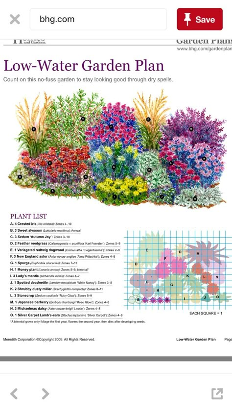 Low Water Plants, Flower Garden Plans, Low Water Gardening, Garden Design Layout, Garden Plan, Garden Shrubs, Have Inspiration, Garden Plans, Diy Gardening