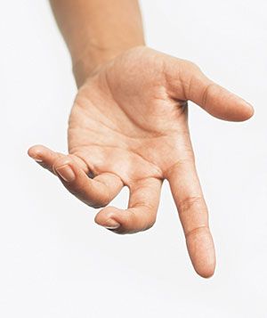 6179_40752_big.gif (300×357) Hand References, Hands Reference, Hand Photography, Hand Drawing Reference, Figure Reference, Pencil Drawings Easy, Hand Reference, Human Reference, Body Anatomy