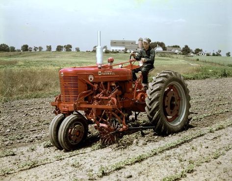 Farmall Super M Tractor with Rotary Cultivator Farmall Super A, Farmall Super M, John Deere Tractors Pictures, Tractors Pictures, Farmall M, A Trip To The Moon, Scout International, Harvest Food, Vintage Farm Equipment