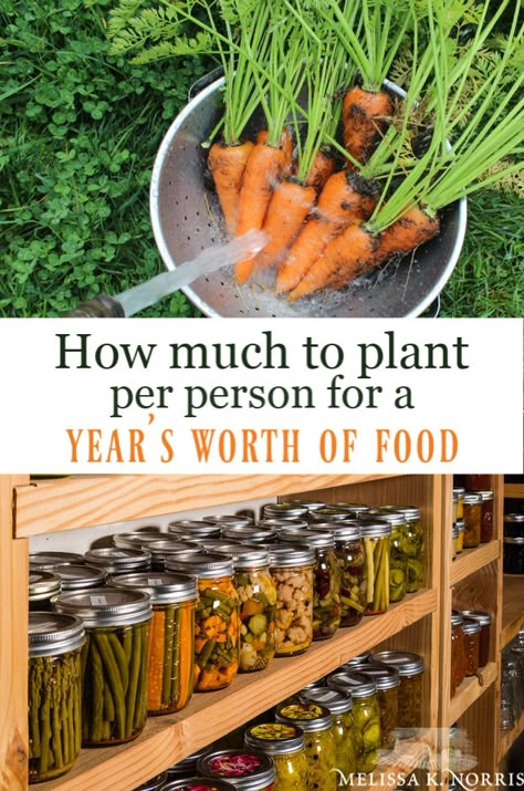 how much to plant per person for a year's worth of food Homestead Gardens, Living Simply, Victory Garden, Self Sufficiency, Garden Types, Self Sufficient, Home Vegetable Garden, Organic Gardening Tips, Food Garden