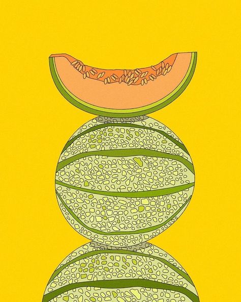 Cantaloupe Painting, Cantaloupe Drawing, Cantaloupe Wallpaper, Melon Drawing, Melon Illustration, Melon Wallpaper, Fruits And Vegetables Illustration, Paint Fruit, Vegetables Illustration