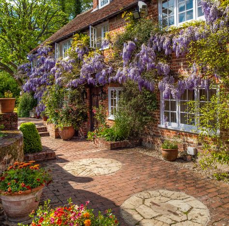 An ancient wisteria festoons 16th century Dipley Mill in Hampshire, United Kingdom Shadows Architecture, Cottage Aesthetic, English Cottages, Fotografi Vintage, Have Inspiration, Dream Cottage, Garden Cottage, English Cottage, Pretty House