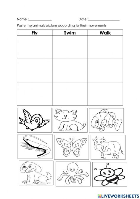 Animals Movement Worksheet, Animal Movement Activities, Animal Body Parts Worksheet, Animal Groups Activities, Diwali Homework, Preschool Pattern Worksheets, Tutoring Activities, Movement Of Animals, Movement Preschool