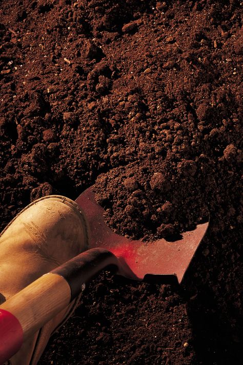 How to Get Through Hard Dirt & Roots. Various tasks -- from planting to installing a mail post -- require digging through dirt. Unfortunately, not all soil is soft and easy to dig. Digging through hard dirt and roots can be a difficult process when using normal gardening tools. Shovels do little to break up compacted and hard soil and merely nick... Aquarium Soil, Elemento Terra, Organic Soil, Soil Testing, Low Maintenance Garden, Pvc Pipe, Shovel, Martha Stewart, Organic Gardening