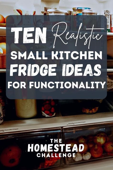 Small Kitchen Fridge, Small Apartment Refrigerator, Kitchen Fridge Ideas, Small Fridge Organization, Fridge Organization Hacks, Apartment Refrigerator, Small Home Organization, Homemade All Purpose Cleaner, Tiny Fridge