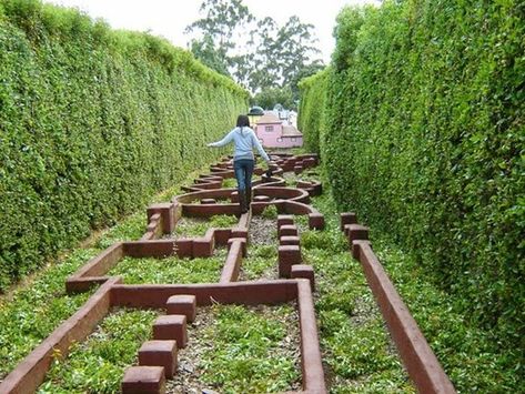 18 Awesome Ideas For School Playgrounds - WeAreTeachers Outdoor Play Areas, Sensory Garden, Kids Outdoor Play, School Playground, Children's Garden, Natural Playground, Playground Design, Outdoor Classroom, Backyard Play