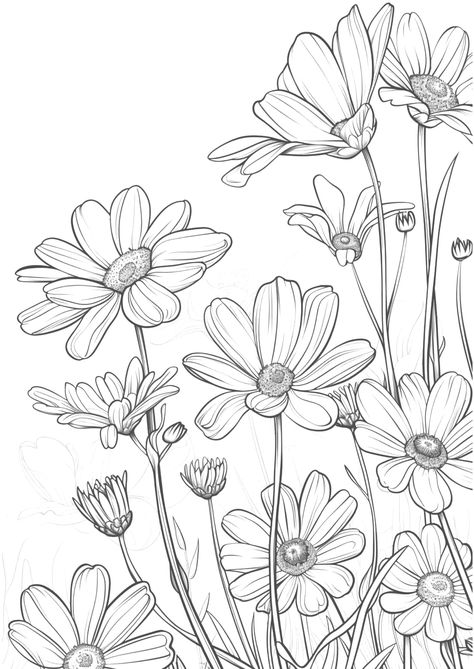 Wildflower Coloring Pages, Black And White Flower Line Art, Flowers Illustration Black And White, Clipart Flowers Black And White, Wild Flower Coloring Pages, Ceramic Plates Art, Flower Line Drawings, Flower Outline, Procreate Ipad Art