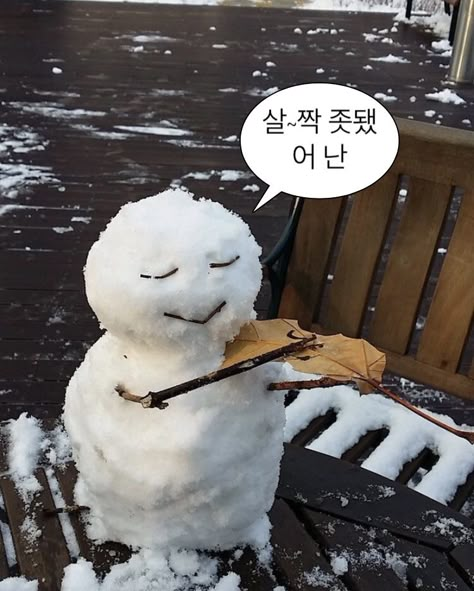 Snow Sculptures, Snow Art, Snow Fun, 웃긴 사진, Snowy Day, Winter Aesthetic, 귀여운 동물, Funny Images, Beautiful Images