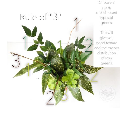 Learn the "rule of 3" for floral design 101. House Plant Bouquet, Floral Design Styles, Flower Mechanics, Plant Workshop, Flower Arranging Tutorial, Floral Mechanics, Floral Designs Arrangements, Floral Design Business, Floral Arrangement Ideas