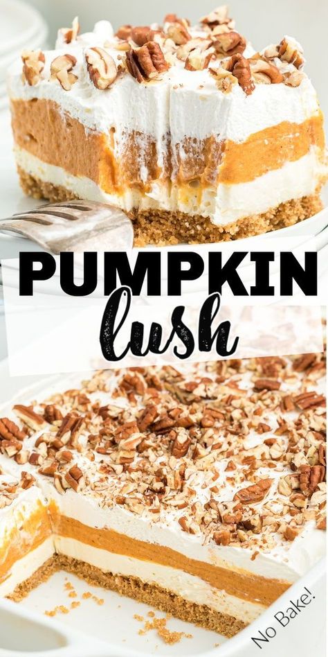 Pumpkin 4 Layer Dessert, Creamy Layered Pumpkin Dessert, Pumpkin Cream Cheese Layered Dessert, Pumpkin And Whipped Cream Dessert, Easy Pumpkin Deserts Recipes, Pumpkin Lust Dessert, Pumpkin Deserts Easy Dessert Recipes, Desert Thanksgiving Recipes, Pumpkin Dessert With Graham Cracker Crust