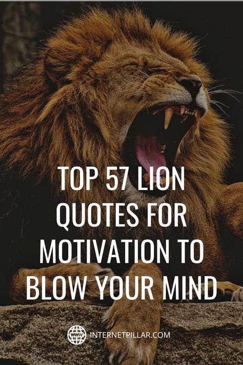 Quotes On Lion, Lion Quotes Wallpaper, Quotes With Lion Images, Lion Pride Quotes, Quotes About Lions Strength, Lion Strength Quotes, Loin Quote, Lion Tattoo Quotes, Lions Quotes Strength