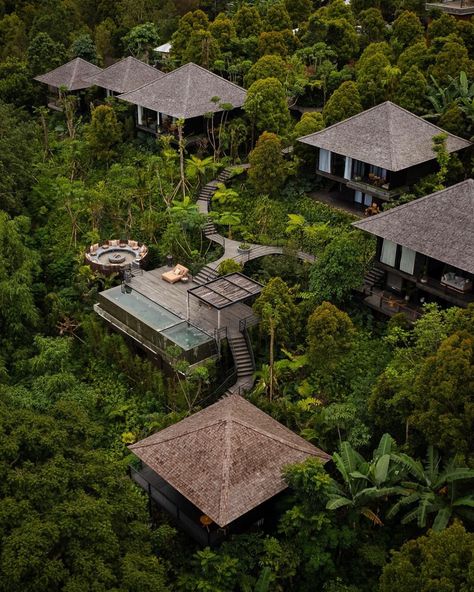 Munduk Bali, Thailand Resorts, Forest Hotel, Resort Design Plan, Forest Resort, Resort Cabins, Resort Plan, Jungle Resort, Resort Ideas