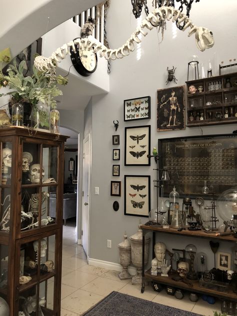 Wall Of Shelves Ideas, Apothecary House Decor, Spooky Studio Apartment, Gothic Cottagecore Living Room, Oddities Living Room, Industrial Floral Decor, Oddities Home Decor, Keys Decor Ideas, Midevil Room Aesthetic