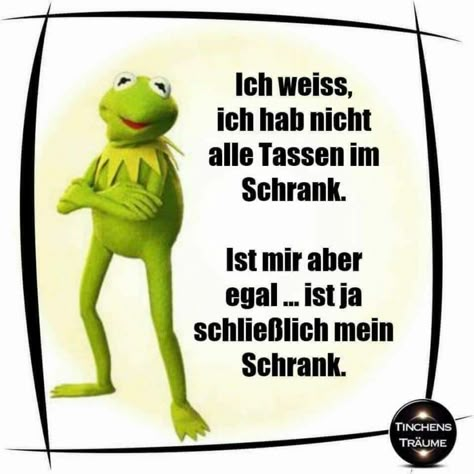 ▷ 1001+ lustige Bilder zum Totlachen, die die Stimmung verbessern Surfing Quotes, Bridal Shower Food, Kermit The Frog, No Game No Life, The Frog, Man Humor, Everyone Knows, Say Hi, Deadpool