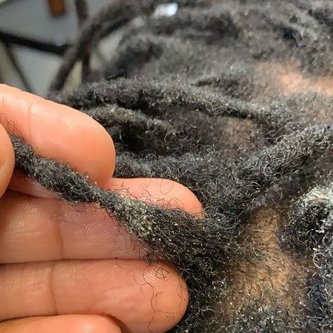 You do know that product buildup is not the only type of buildup, right?? This is an example of biological build up... also known as what sweat, dandruff and flakes turn into if you don’t thoroughly get them out at each wash. How To Remove Build Up From Locs, Black Men With Locs, Black Women With Locs, Men With Locs, Women With Locs, Loc Maintenance, Clarifying Shampoo, Scalp Conditions, Moisturizing Shampoo