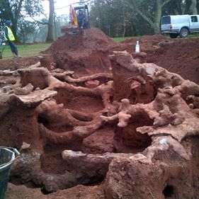 The Burrowers animals underground – a rabbit warren mapped in cement Rabbit Reference, Rabbit Burrow, Bunny Burrow, Rabbit Warren, Wild Rabbit, Animal Inspiration, Jack And The Beanstalk, Landmark Buildings, Time Space