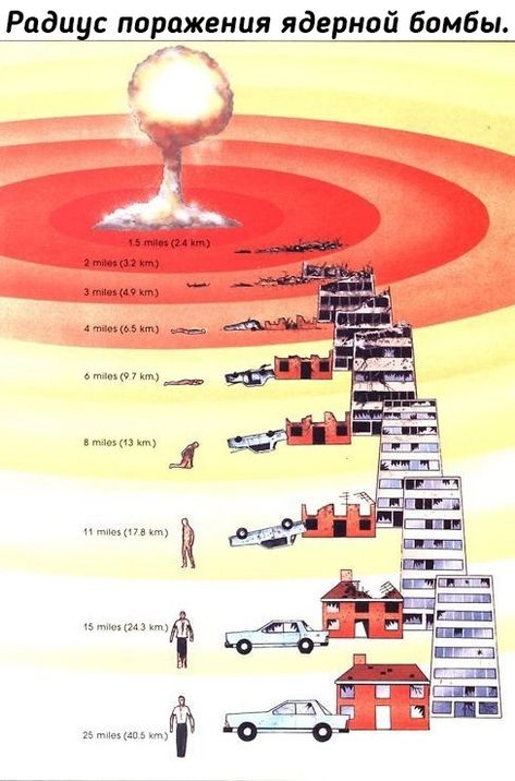 Workout Plan Template, Usa Government, Nuclear Explosion, Underground Bunker, Civil Defense, Lie Detector, Apocalypse Survival, Survival Life Hacks, Survival Techniques