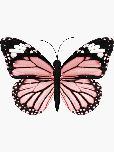 Unique Light Pink Butterfly Stickers designed and sold by artists. Decorate your laptops, water bot... Butterflies For Printing, Pink Buterfluffy, Butterfly Pictures Art, Butterfly For Print, Pink Butterfly Drawing, Cute Butterfly Drawing, Pink Butterfly Sticker, Pink Black Butterfly, Butterfly Draw