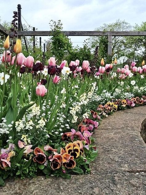 Garden Tulips Ideas, Tulips In Garden Bed, Tulip Bed Ideas, Tulip Beds Front Yards, Tulip Bed, Tulip Garden, Front Garden Landscape, Balcony Plants, Tulips Garden