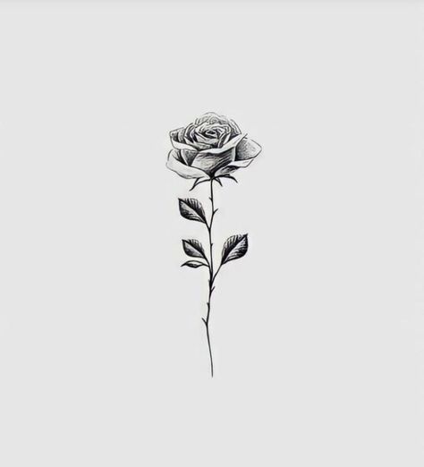 Rose Illustration Tattoo, Sternum Rose Tattoo, Monkey Tattoos, Small Rose Tattoo, White Ink Tattoo, Illustration Tattoo, Rose Illustration, Sternum Tattoo, Small Rose