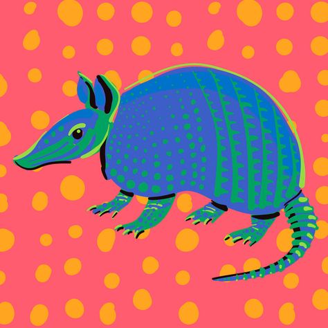 Cute Armadillo Drawing, Armadillo Painting, Armadillo Cartoon, Armadillo Drawing, Armadillo Illustration, Armadillo Art, Texas Canvas, Screen Printing Art, Illustration Lettering