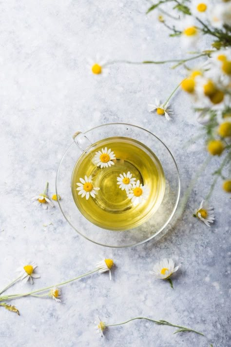 Chamomile flowers and chamomile tea in g... | Premium Photo #Freepik #photo #flower #leaf #tea #medicine Tea Photoshoot, Tea Photo, Tea Photography, Different Types Of Tea, Tea Aesthetic, Healing Tea, Tea Culture, Drink Photography, Herb Tea