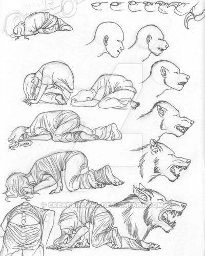 Monster Transformation, Werewolf Movies, Werewolf Transformation, Draw An Elephant, Werewolf Drawing, Werewolf Aesthetic, Elephant Drawing, Werewolf Art, Vampires And Werewolves