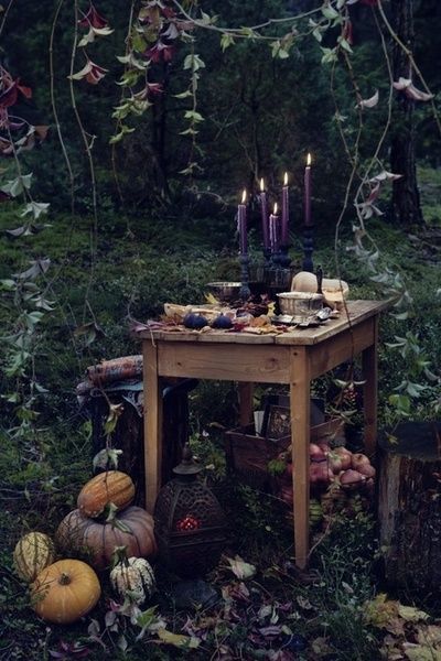 Nine Favorite Things | halfbakedharvest.com Autumnal Equinox, Deco Nature, Forest Photos, Witch Aesthetic, Practical Magic, Green Witch, Witchy Stuff, Witchy Things, Witchy Woman