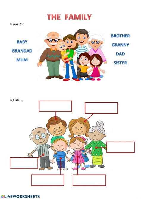 My family - Interactive worksheet My Family Worksheet, Body Parts Preschool, English Grammar For Kids, Family Worksheet, Grammar For Kids, English Activities For Kids, Learning English For Kids, English Worksheets For Kids, English For Kids