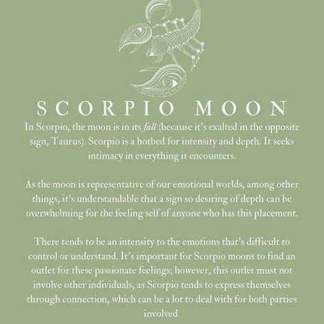 Aries Sun Scorpio Moon, Scorpio Moon Sign, Sun Scorpio, Aries Sun, Zodiac Quotes Scorpio, Virgo Sun, Zodiac Meanings, Pisces And Scorpio, Leo Rising