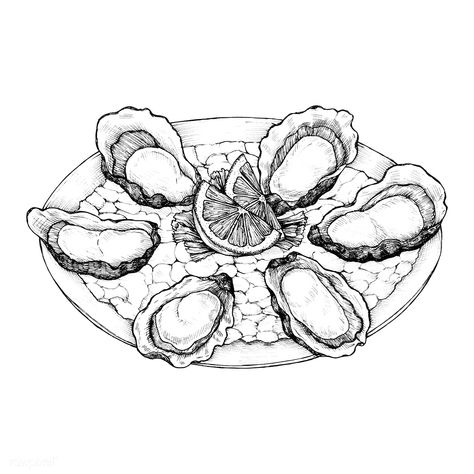 Hand drawn oyster salt-water bivalve platter | premium image by rawpixel.com Drawing Lemon, Liner Art, Easy Tattoo, Skull Hand Tattoo, Food Reference, Copyright Free Images, Food Coloring Pages, Skeleton Hand Tattoo, Reading Art