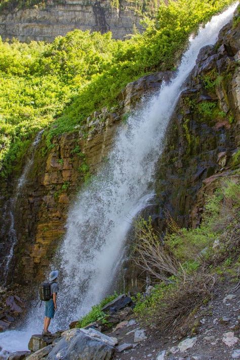 Did you know that Mount Timpanogos, at 11,752 feet, is a prime example of Utah's natural beauty? Visible from Provo, Orem, Pleasant Grove, American Fork, and Lehi, its eastern upper bowl retains ancient glacier remnants even during summer. Learn about its significance and geological features. Check our website to learn more- www.utahguide.com/utah-mountains #HikingAdventure #mttimpanogos #Timpanogos #GetOutside #timpanogos #mounttimpanogos #timpooneketrail #hikingutah #leavenotrace Mount Timpanogos, Utah Mountains, Pleasant Grove, Geology, Utah, Did You Know, Natural Beauty, Places To Go, Bowl