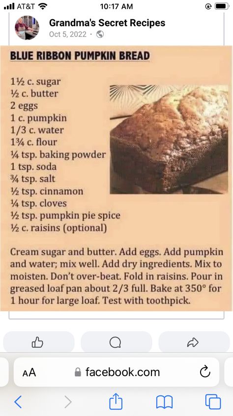 Ribbon Pumpkin, Bundt Pan Recipes, Blue Ribbon Recipes, Raisin Recipes, Raisin Bread, Pumpkin Bread Recipe, Pan Recipes, Pumpkin Pie Spice, Secret Recipe