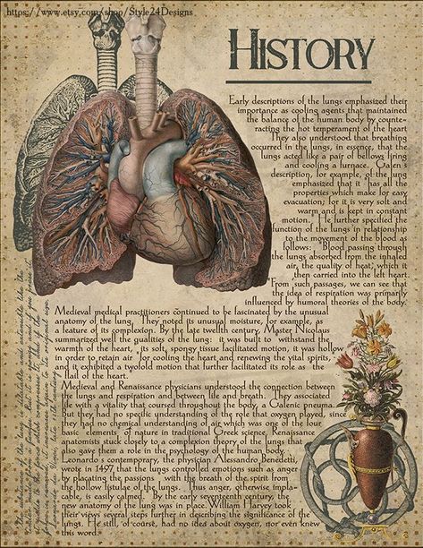 Vintage Medical Art, Human Anatomy Art, Medical Anatomy, Vintage Medical, Medical Art, Vintage Poster Art, Green Witch, Anatomy And Physiology, Anatomy Art