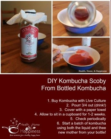 Kombucha Mother, Diy Kombucha, Kombucha Drink, Make Kombucha, Kombucha Scoby, Homemade Kombucha, Kombucha Recipe, Kefir Recipes, Homebrew Recipes