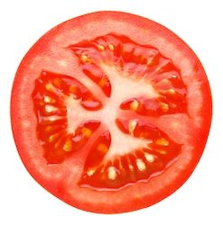 slice of tomato isolated on white Png Icons, Fleece Throw, A White Background, Art References, Circles, East Urban Home, Art Inspo, White Background, To Draw