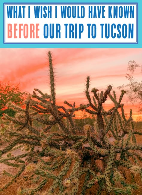 Arizona Travel Places to Visit What To Do In Tucson Arizona, Tuscan Arizona Things To Do, Tuscon Arizona Hikes, Southern Arizona Travel, Tusan Arizona, Things To Do In Tucson Az, Tuscon Arizona Outfits, Tuscon Arizona Aesthetic, Tucson Arizona Things To Do