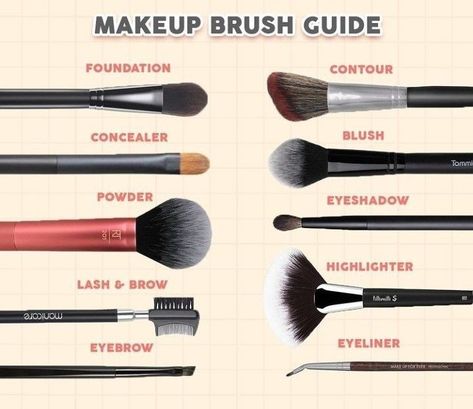 Urutan Make Up, Tutor Makeup, Makeup Brush Guide, Makeup Brush Uses, Membentuk Alis, Brush Guide, Alat Makeup, Makeup Order, Makeup Brushes Guide